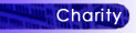The charity policy of Lichtenstein Capital Markets and DoctorMortgage