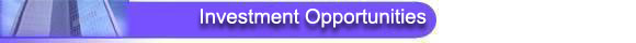 Lichtenstein Capital Markets Subtitle
